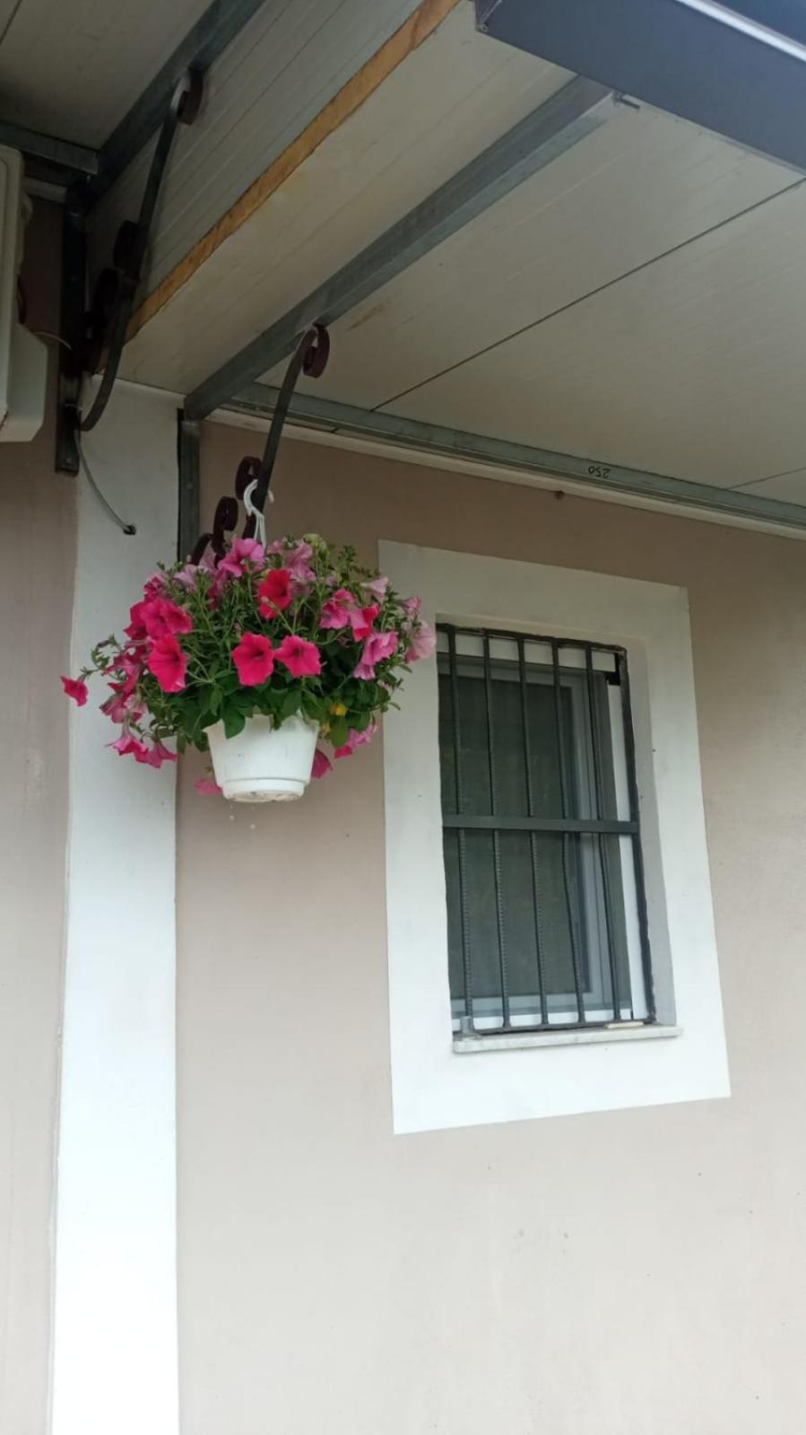 A Casa Di Nonna Anna Villa Ercolano Exterior photo